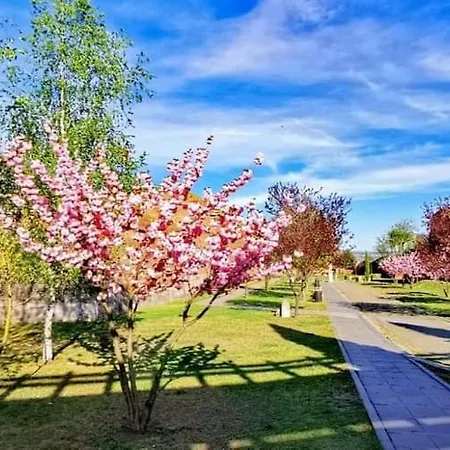 The View1 Apartment Alba Iulia